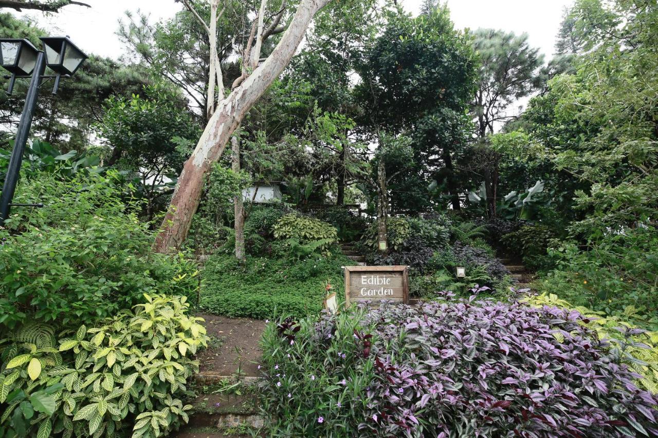 La Bella Boutique Hotel Tagaytay City Eksteriør billede